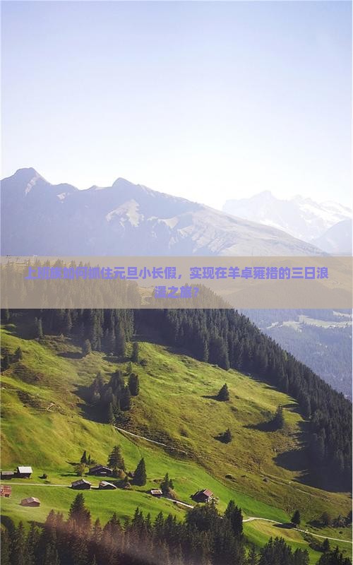上班族如何抓住元旦小长假，实现在羊卓雍措的三日浪漫之旅？