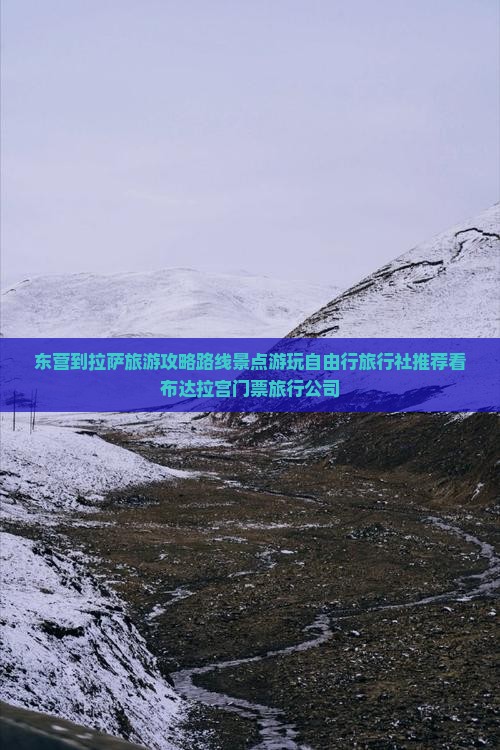 东营到拉萨旅游攻略路线景点游玩自由行旅行社推荐看布达拉宫门票旅行公司