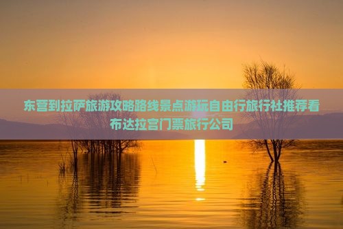 东营到拉萨旅游攻略路线景点游玩自由行旅行社推荐看布达拉宫门票旅行公司