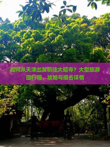 如何从天津出发前往大昭寺？大型旅游团行程、攻略与报名详情