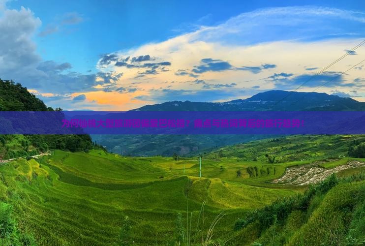 为何仙桃大型旅游团偏爱巴松措？痛点与热词背后的旅行趋势！