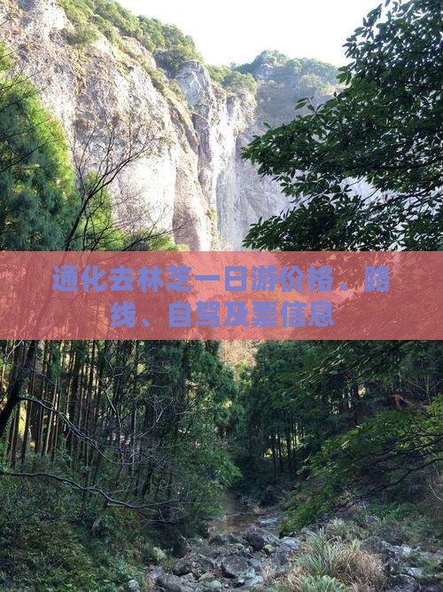 通化去林芝一日游价格、路线、自驾及票信息