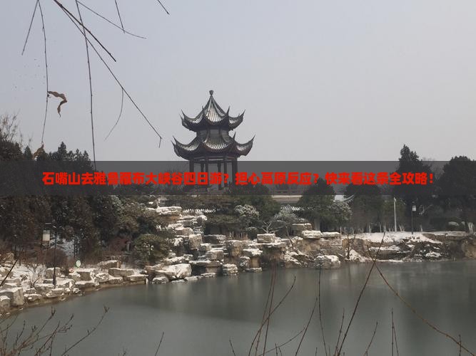 石嘴山去雅鲁藏布大峡谷四日游？担心高原反应？快来看这条全攻略！