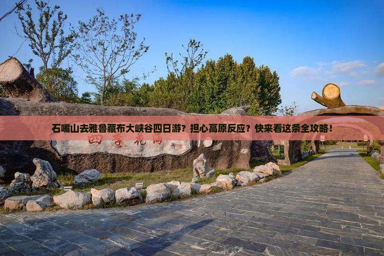 石嘴山去雅鲁藏布大峡谷四日游？担心高原反应？快来看这条全攻略！