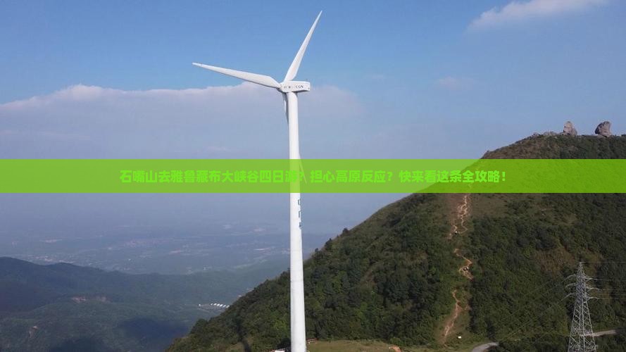 石嘴山去雅鲁藏布大峡谷四日游？担心高原反应？快来看这条全攻略！