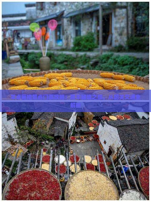 羊卓雍措景点门票攻略：藏羊秘境之旅，从韶关交通全解析