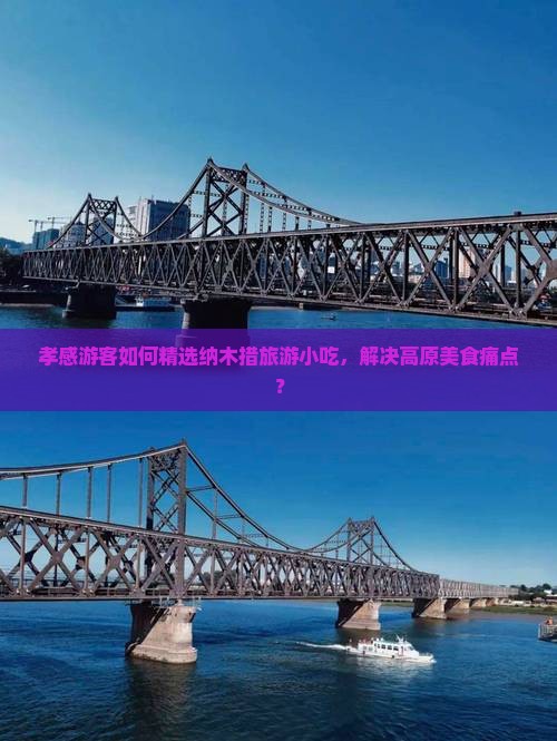 孝感游客如何精选纳木措旅游小吃，解决高原美食痛点？