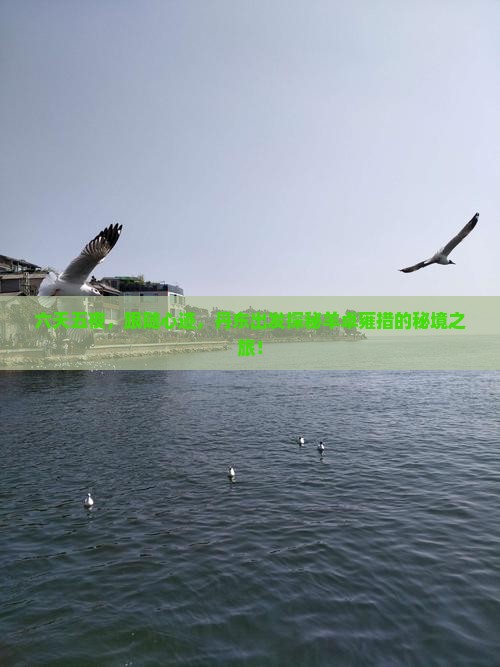 六天五夜，跟随心迹，丹东出发探秘羊卓雍措的秘境之旅！