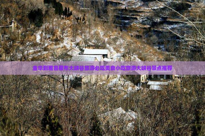 金华到雅鲁藏布大峡谷旅游必吃美食小吃旅游大峡谷景点推荐