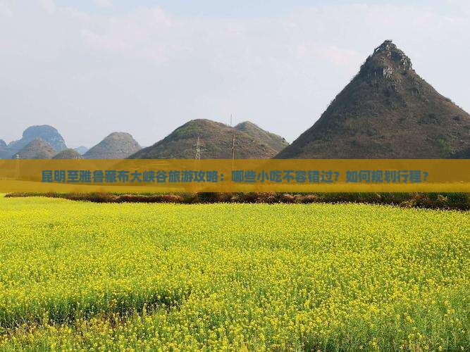 昆明至雅鲁藏布大峡谷旅游攻略：哪些小吃不容错过？如何规划行程？