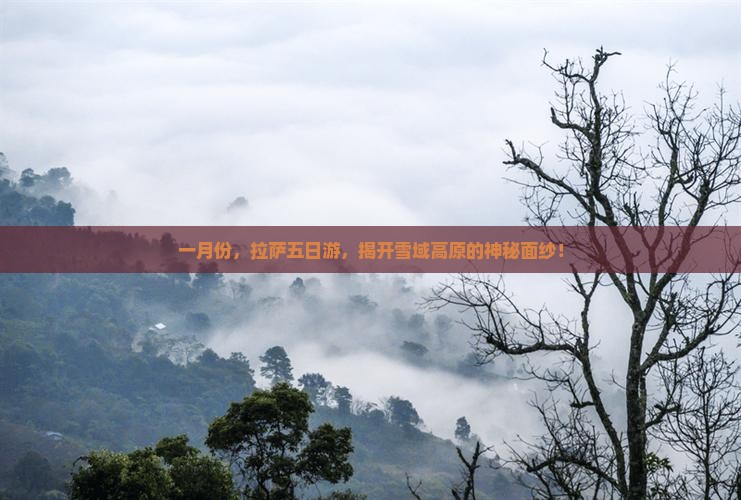 一月份，拉萨五日游，揭开雪域高原的神秘面纱！