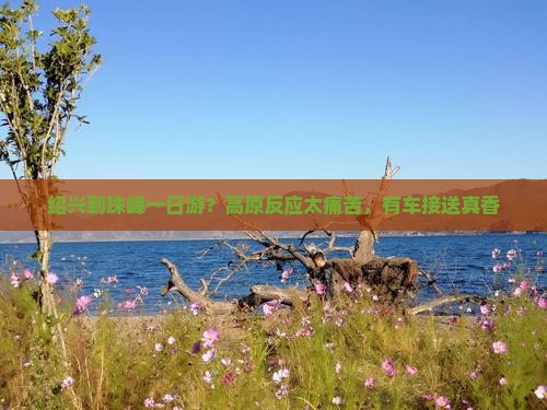 绍兴到珠峰一日游？高原反应太痛苦，有车接送真香