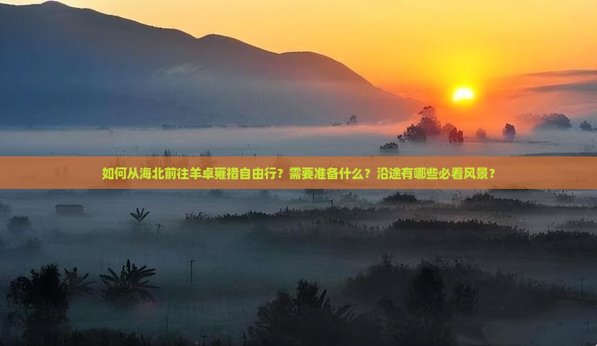 如何从海北前往羊卓雍措自由行？需要准备什么？沿途有哪些必看风景？