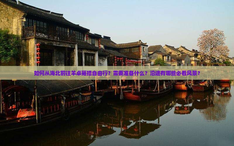 如何从海北前往羊卓雍措自由行？需要准备什么？沿途有哪些必看风景？