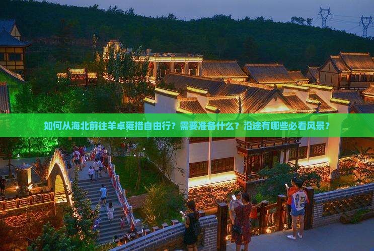 如何从海北前往羊卓雍措自由行？需要准备什么？沿途有哪些必看风景？