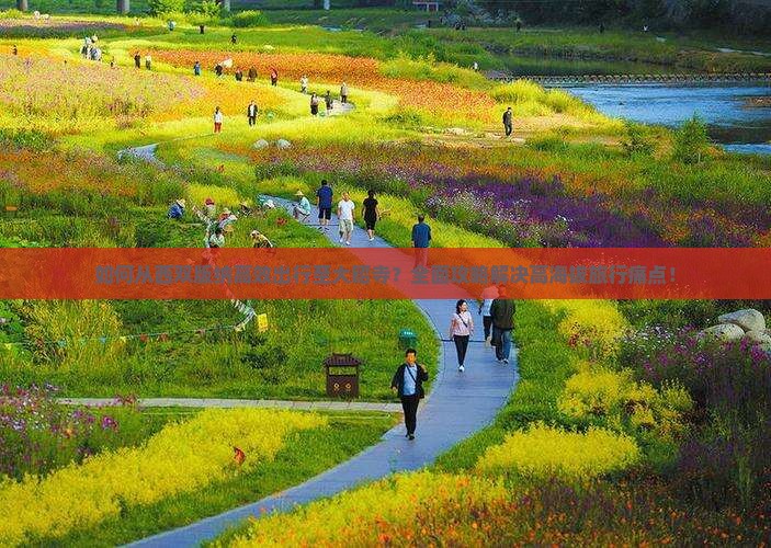 如何从西双版纳高效出行至大昭寺？全面攻略解决高海拔旅行痛点！