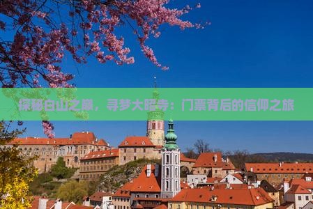探秘白山之巅，寻梦大昭寺：门票背后的信仰之旅