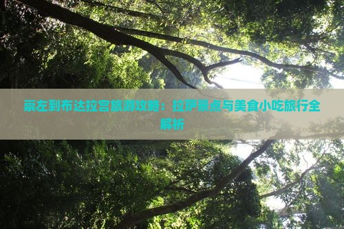 崇左到布达拉宫旅游攻略：拉萨景点与美食小吃旅行全解析