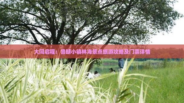 大同启程：鲁朗小镇林海景点旅游攻略及门票详情