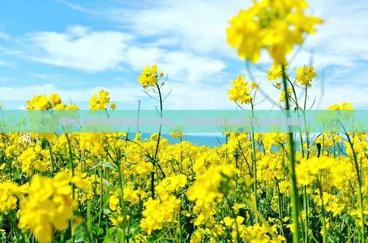 锦州出发探秘雅鲁藏布大峡谷，六日深度游攻略及行程疑问解答？