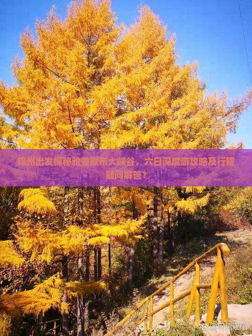 锦州出发探秘雅鲁藏布大峡谷，六日深度游攻略及行程疑问解答？