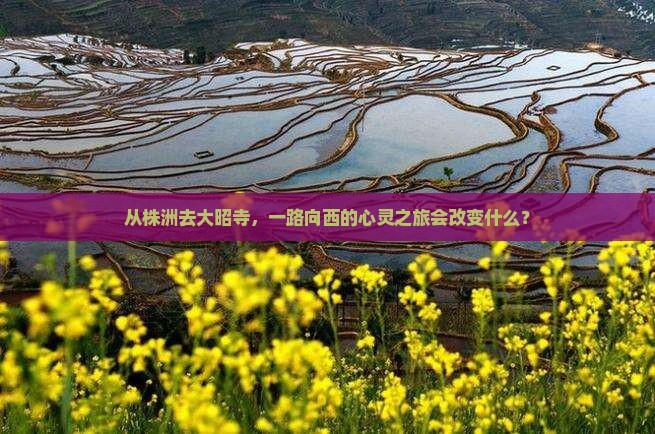 从株洲去大昭寺，一路向西的心灵之旅会改变什么？
