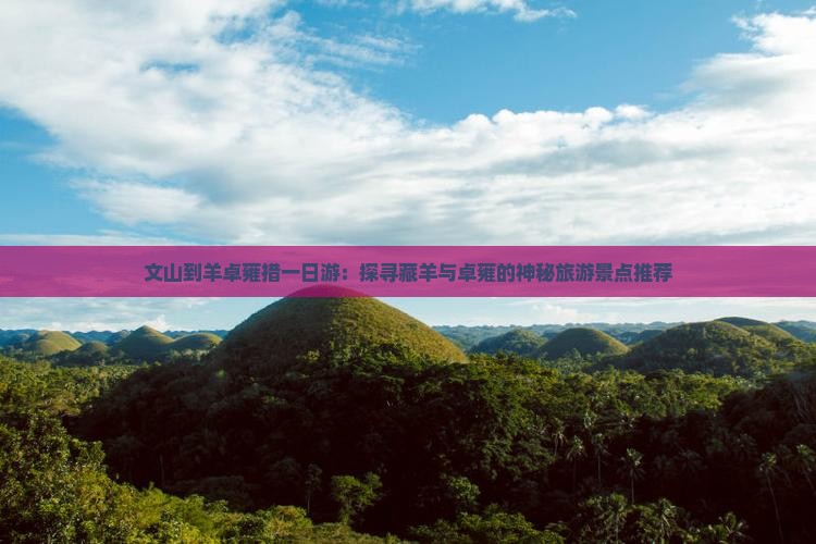 文山到羊卓雍措一日游：探寻藏羊与卓雍的神秘旅游景点推荐