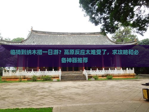 临猗到纳木措一日游？高原反应太难受了，求攻略和必备神器推荐