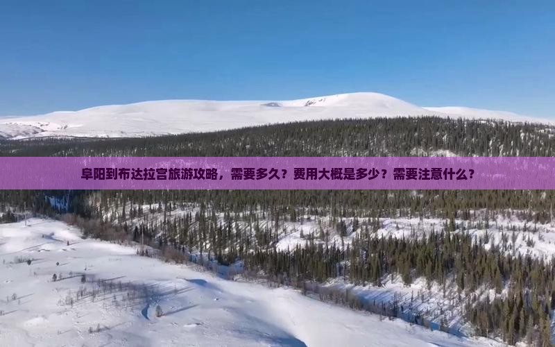 阜阳到布达拉宫旅游攻略，需要多久？费用大概是多少？需要注意什么？