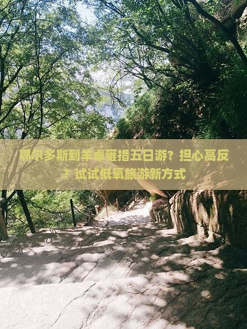鄂尔多斯到羊卓雍措五日游？担心高反？试试低氧旅游新方式