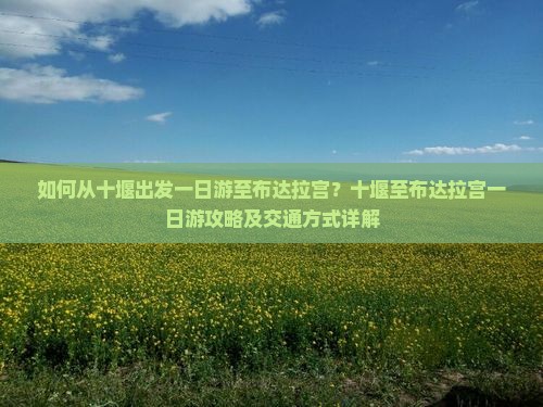 如何从十堰出发一日游至布达拉宫？十堰至布达拉宫一日游攻略及交通方式详解