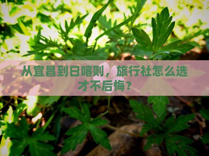 从宜昌到日喀则，旅行社怎么选才不后悔？