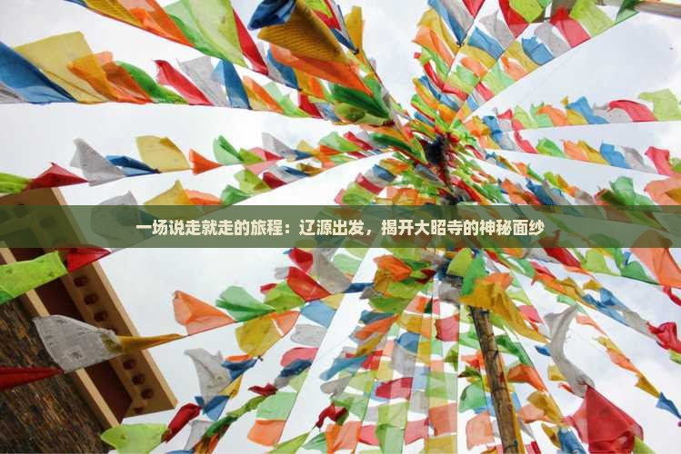 一场说走就走的旅程：辽源出发，揭开大昭寺的神秘面纱