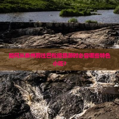如何从泰州前往巴松措旅游时必尝哪些特色小吃？