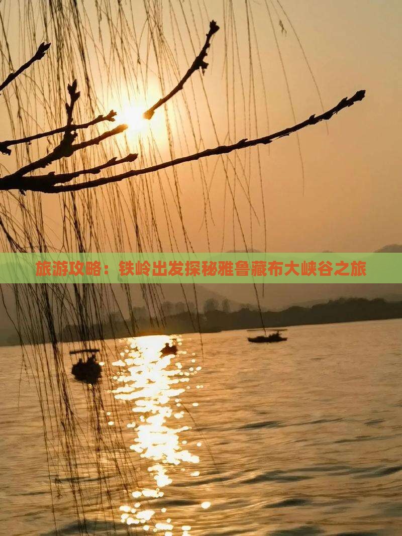 旅游攻略：铁岭出发探秘雅鲁藏布大峡谷之旅