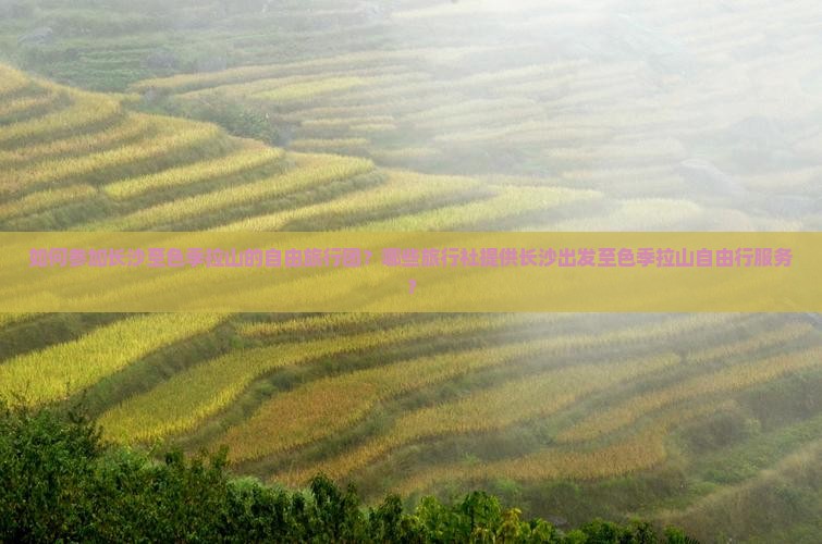 如何参加长沙至色季拉山的自由旅行团？哪些旅行社提供长沙出发至色季拉山自由行服务？