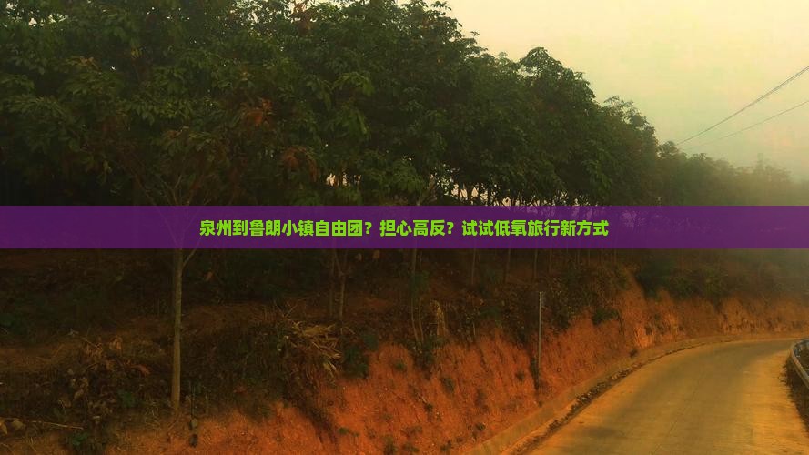 泉州到鲁朗小镇自由团？担心高反？试试低氧旅行新方式