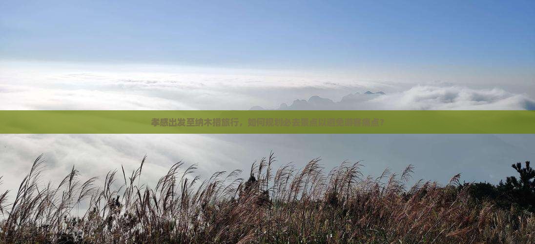 孝感出发至纳木措旅行，如何规划必去景点以避免游客痛点？