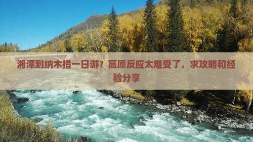 湘潭到纳木措一日游？高原反应太难受了，求攻略和经验分享