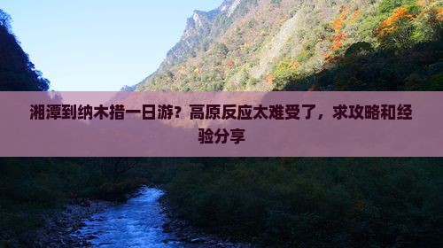 湘潭到纳木措一日游？高原反应太难受了，求攻略和经验分享