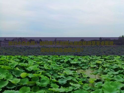旅行小白必问：如何用7天时间从德宏畅游至羊卓雍措，轻松解锁自由团之旅？