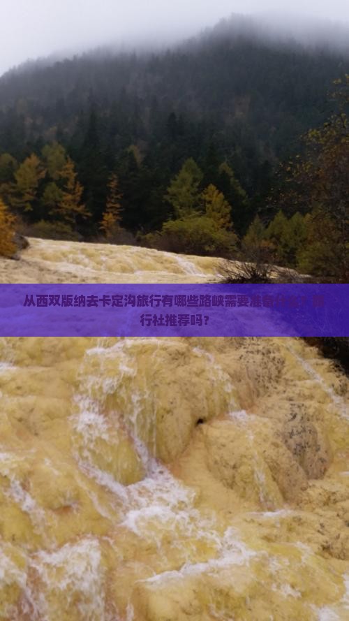 从西双版纳去卡定沟旅行有哪些路峡需要准备什么？旅行社推荐吗？