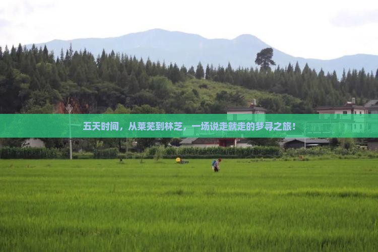 五天时间，从莱芜到林芝，一场说走就走的梦寻之旅！
