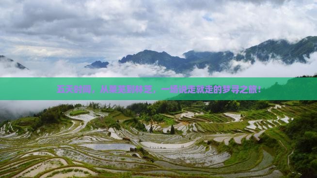 五天时间，从莱芜到林芝，一场说走就走的梦寻之旅！
