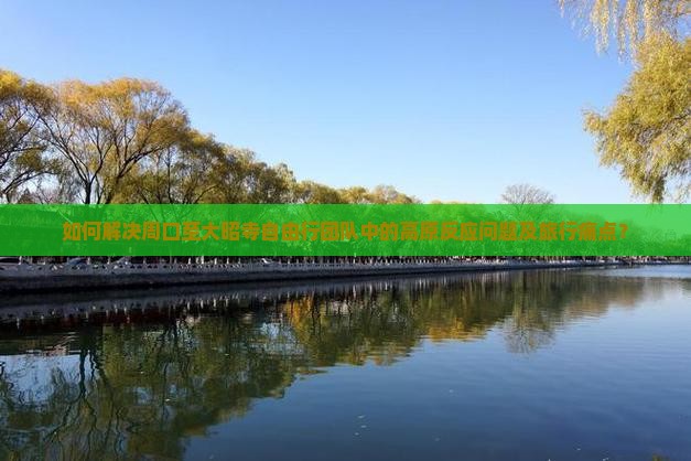 如何解决周口至大昭寺自由行团队中的高原反应问题及旅行痛点？