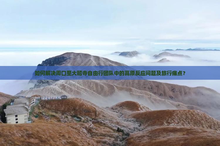 如何解决周口至大昭寺自由行团队中的高原反应问题及旅行痛点？