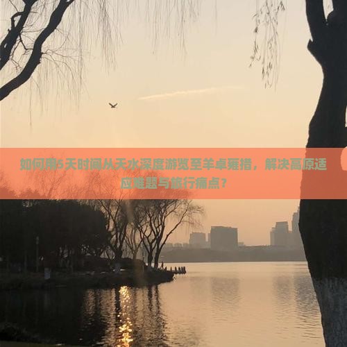 如何用5天时间从天水深度游览至羊卓雍措，解决高原适应难题与旅行痛点？