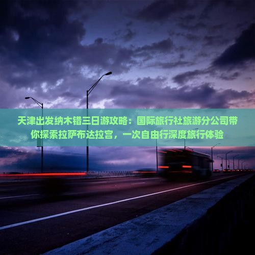 天津出发纳木错三日游攻略：国际旅行社旅游分公司带你探索拉萨布达拉宫，一次自由行深度旅行体验
