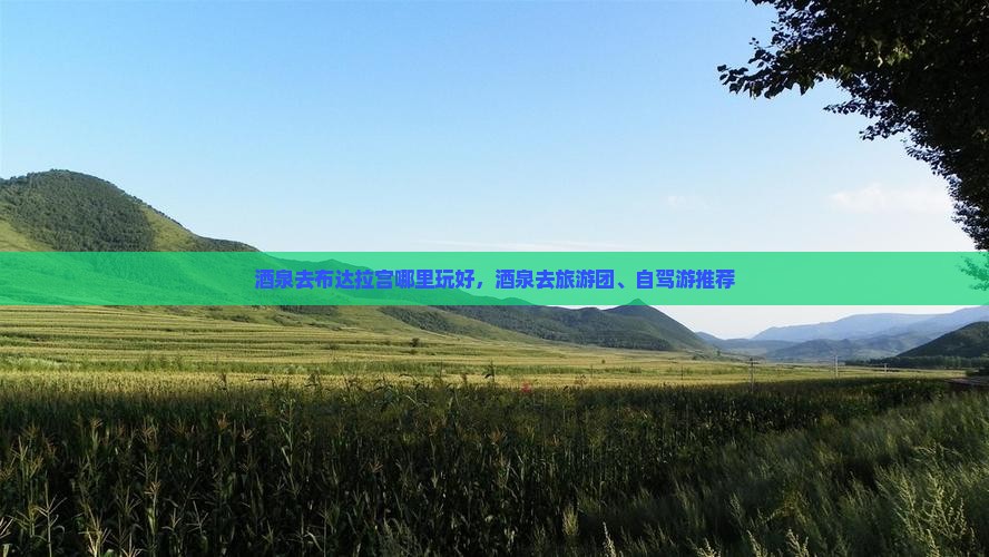 酒泉去布达拉宫哪里玩好，酒泉去旅游团、自驾游推荐