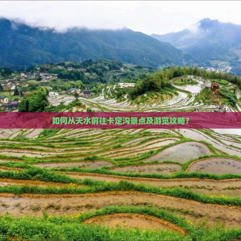 如何从天水前往卡定沟景点及游览攻略？